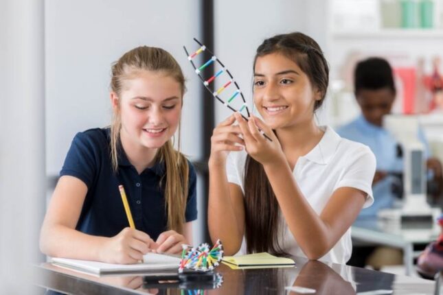 Lise - Avcılar Sınav Koleji